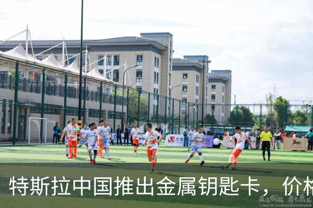 特斯拉中国推出金属钥匙卡，价格亲民却功能平平